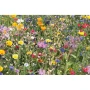 Summer flowers mixed seeds | In craft envelope | Made in EU