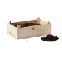 Kit de culture de fraises | Dans une caisse en bois | Inclus, compost de jardin | Fabriqué en UE