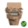 Palitos de semillas de hierbas aromáticas | Semillas de cebollino, albahaca y perejil | Made in EU