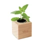 Vaso per le erbe | Legno | Scatola stampabile | Menta