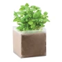 Sacchetto con semi di basilico | 1 litro di terriccio da giardino | Prodotto nei Paesi Bassi