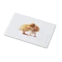 Memoria USB | ABS | 16GB