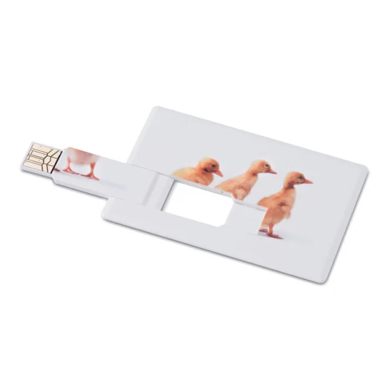 USB memory stick in ABS | 16GB | Credit card shaped | white