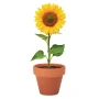 Sunflower | Terracotta pot | Made in EU