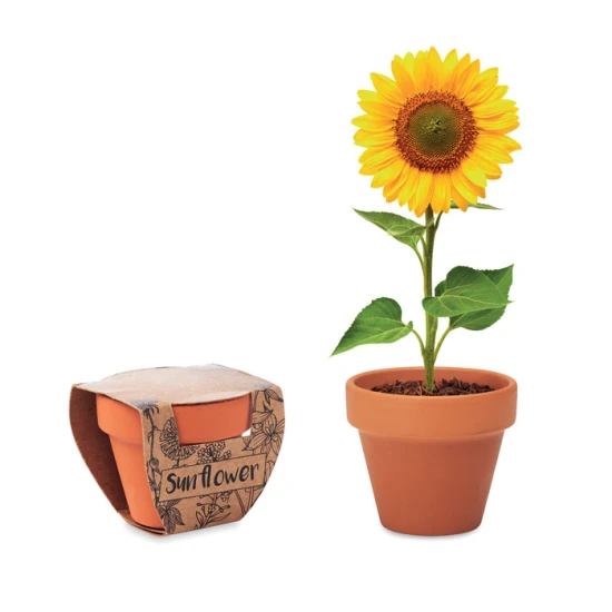 Sunflower | Terracotta pot | Made in EU | wood