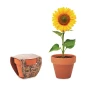 Sunflower | Terracotta pot | Made in EU