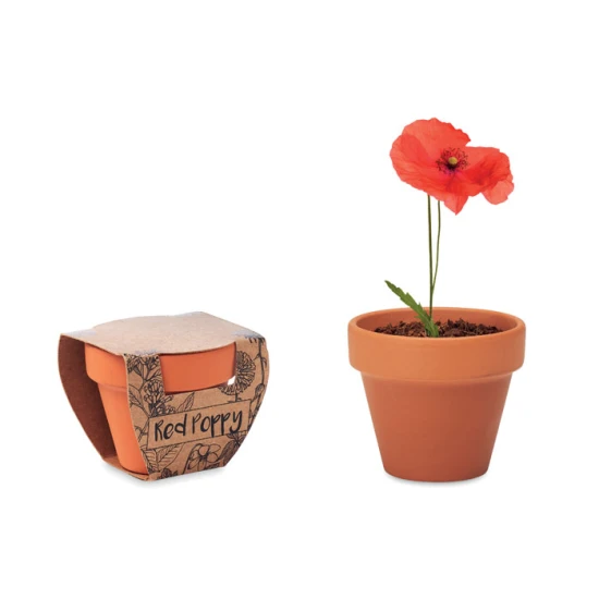 Klaproos | Terracotta pot | 6x5,5x5cm | Gemaakt in EU | hout
