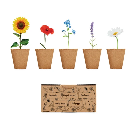 Flowers growing kit | 5 types of flowers | Made in EU | beige