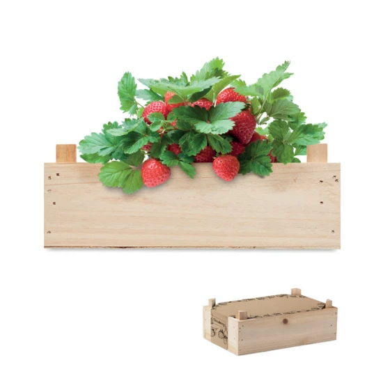 Strawberry growing kit | In wooden crate | Incl. garden compost | Made in EU | wood