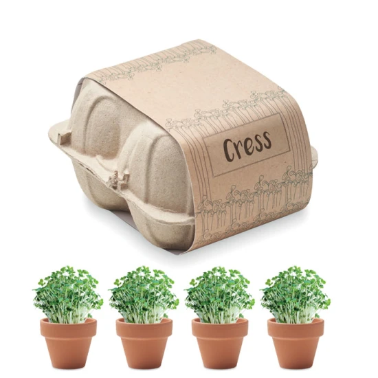 Growing kit | Incl. 4 clay terracotta pots and seeds | In an egg carton tray | Made in EU | beige