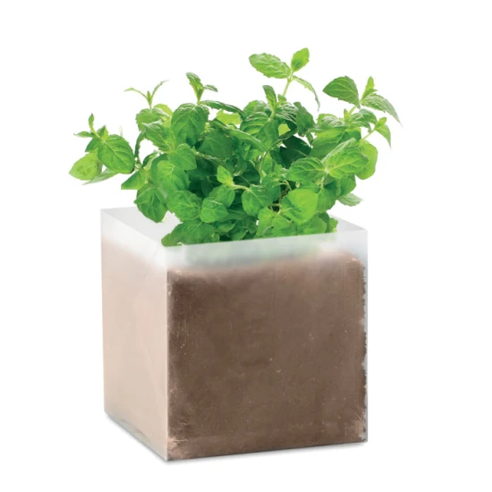 Bag with mint seeds | 1 litre of garden compost | Made in the Netherlands | beige