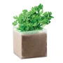 Bag with parsley seeds | 1 litre of garden compost | Made in the Netherlands
