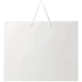 Sac en papier | Papier laminé 170 g/m² | 40x10x35cm | Poignées en plastique | Fabriqué en Europe