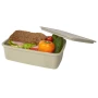 Plastic lunch box | 800 ml | Recycled PP Plastic | Multiple colors