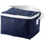Compacte koeltas | PP Plastic | 20x13x16cm | Geschikt voor maximaal 6 blikjes