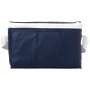 Compacte koeltas | PP Plastic | 20x13x16cm | Geschikt voor maximaal 6 blikjes
