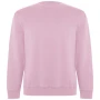 Pull Roly | Coton & polyester | Unisexe