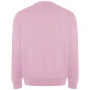 Pull Roly | Coton & polyester | Unisexe