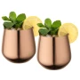 Bekerset | Roestvrij staal | 540 ml | Set van 2