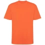 T-shirt a maniche corte Roly | Maglia in cotone 210g/m² | Unisex | Girocollo | Vestibilità oversize