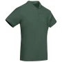 Roly-Poloshirt | 100 % Bio-Baumwolle 210 g/m² | Für Herren | Kurzarm | Gerippter Kragen und Ärmelbündchen.