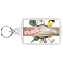 Porte-clés transparent | Plastique | 9,6 cm x 5,50 cm | Anneau métallique en boucle