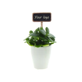 ChalkNotes® easy care mix plant | Living plant | Customisable plant marker | Low maintenance | Sustainable