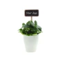 ChalkNotes® easy care mix plant | Plante vivante | Marqueur de plante personnalisable | Facile d’entretien | Durable
