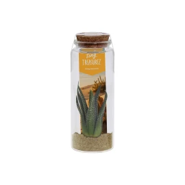 Tiny Treasurez® message in a bottle large | Glass | Mini succulent | Personalised card | Sustainable