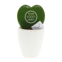 Message Printz® planta corazón | Planta viva hoya kerrii | Hoja impresa | Caja regalo