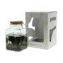 Marimo moss balls | Algae | Personalised cork or card | Lucky gift
