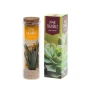 Tiny Treasurez® message en bouteille small | Verre | Mini plante succulente | Bouchon en liège | Durable