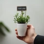 ChalkNotes® easy care mix plant | Plante vivante | Marqueur de plante personnalisable | Facile d’entretien | Durable