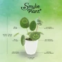 Smylieplant® - Happy dans un pot en céramique (small), Dans une housse de protection pour plantes