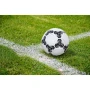 Golden Star football I White black size 5