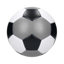 Football Champion I Multicolour Size 5