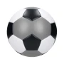 Football Champion I Multicolour Size 5