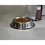 Gamelle pour animaux | Acier inoxydable | 1 L | Ø25,5 cm | Anneau en caoutchouc antidérapant