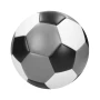 Football Champion I Multicolour Size 5