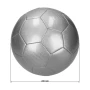 Large Carbon football