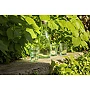 Verre Sevilla | Verre 100% recyclé | 220 ml | Bord épais | Fabriqué en Espagne