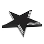Presse-papiers | Alliage de zinc 186 g | 12,2 x 12,2 x 1,1 cm | Étoile rotative