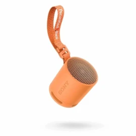 Sony SRS-XB100 Bluetooth speaker | Kunststoff | 16 Stunden | IP67 | Sound Diffusion Processor