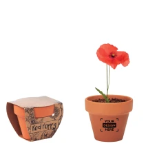Coquelicot | Pot en terre cuite | 6x5,5x5cm | Fabriqué en UE