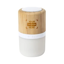 Enceinte | Bambou | Technologie LED intelligente | Boîte d'éco-design