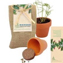 Miniaturwachstum im Jutesack | Terrakotta | Mit einem Topf Ø 4 cm, komprimierter Erde und Fichtensamen