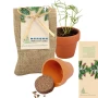 Croissance miniature dans sac en jute | Terracotta | Avec un pot Ø 4 cm, terre compressée et graines d'épicéa