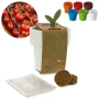 Pot de fleurs avec graines de tomates cerises | Réutilisable | Fabriqué en Allemagne