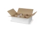Confezione per 6 tazze | Cartone | Eco Friendly