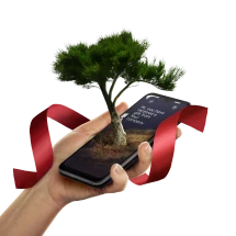 Verschenken sie einen Baum | Treebytree | 100% nachhaltig | Langfristige Erfahrung